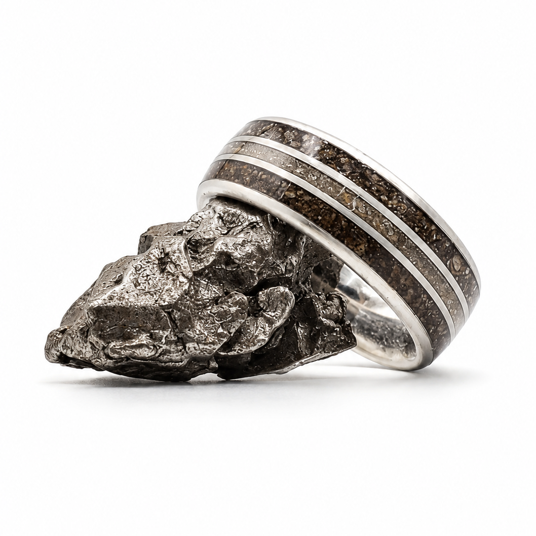 The Spartan - Agatized Dino bone & Meg Tooth