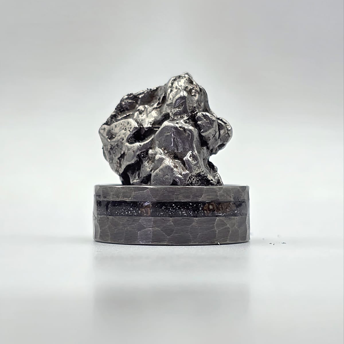 The Big Bang Ring - Meteorite & Chunks Agatized Dino Bone