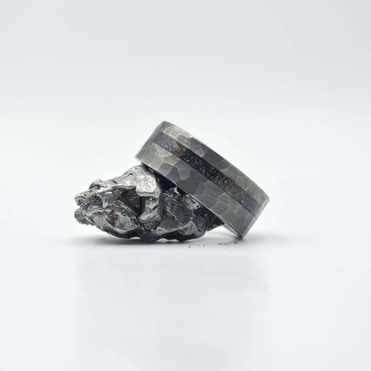 The Big Bang Ring - Meteorite & Chunks Agatized Dino Bone