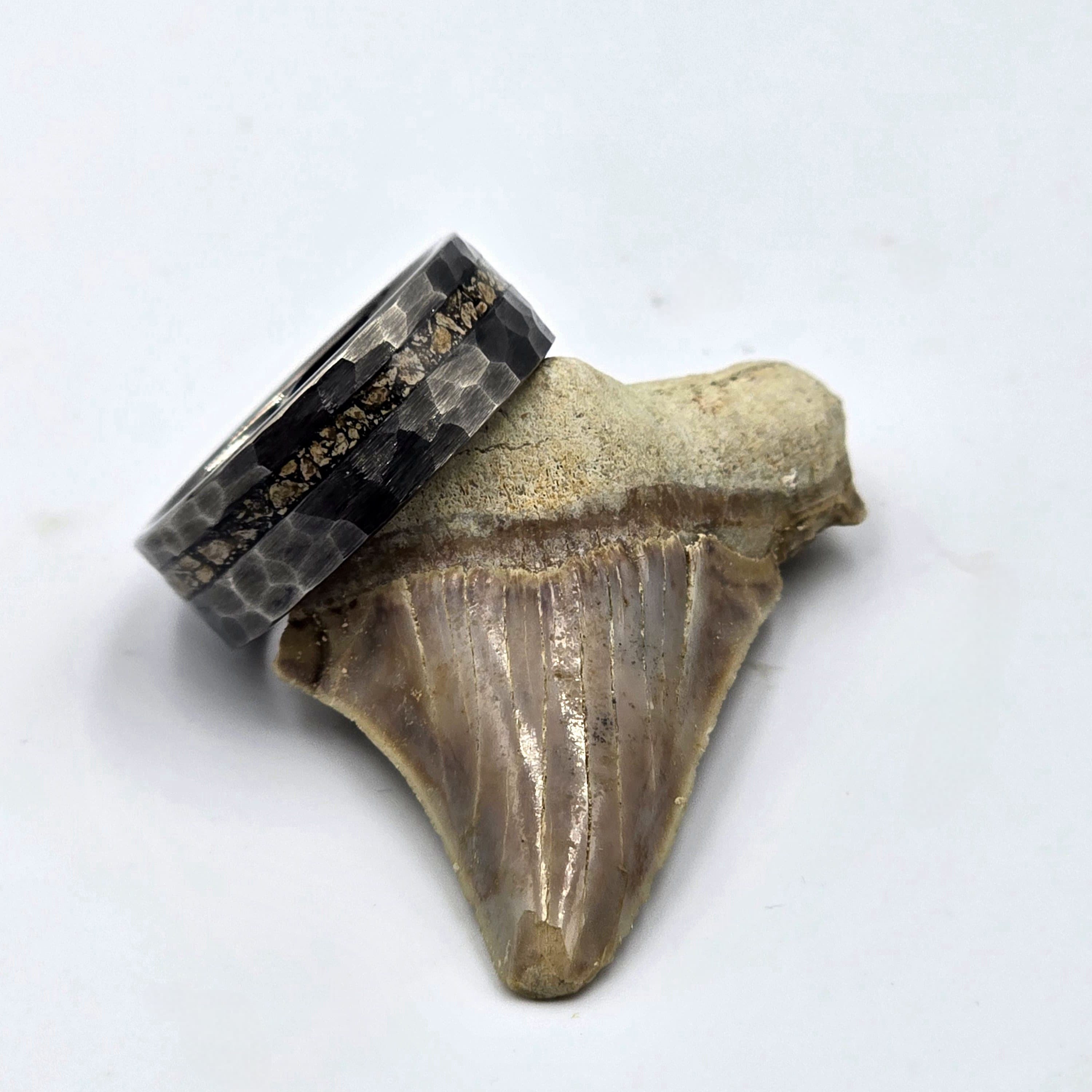 Jaws - Megalodon Tooth set in Dim Grey