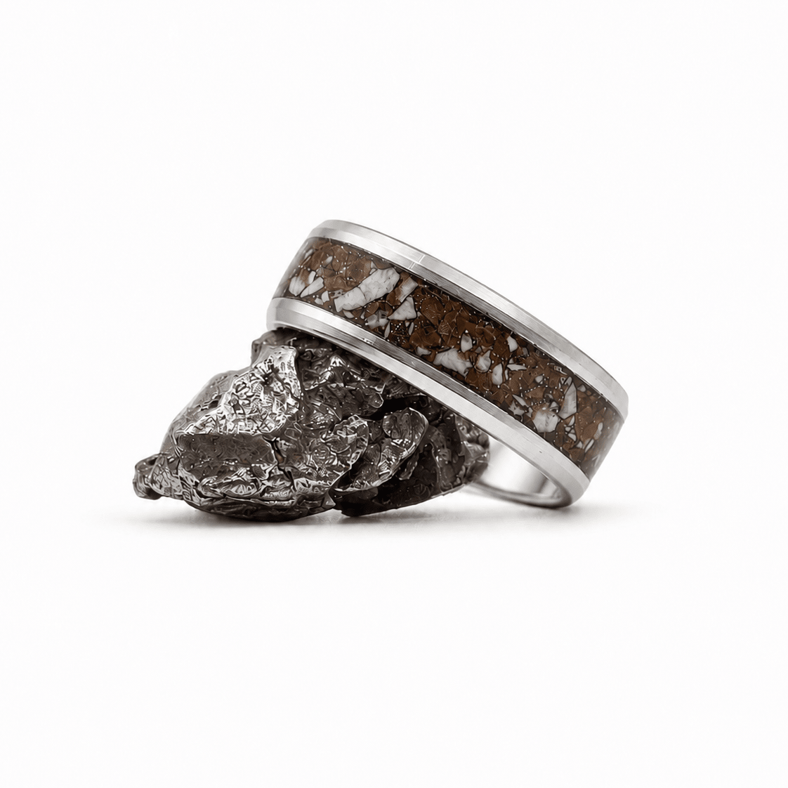 The Epoch - Petrified wood & Howlite stone