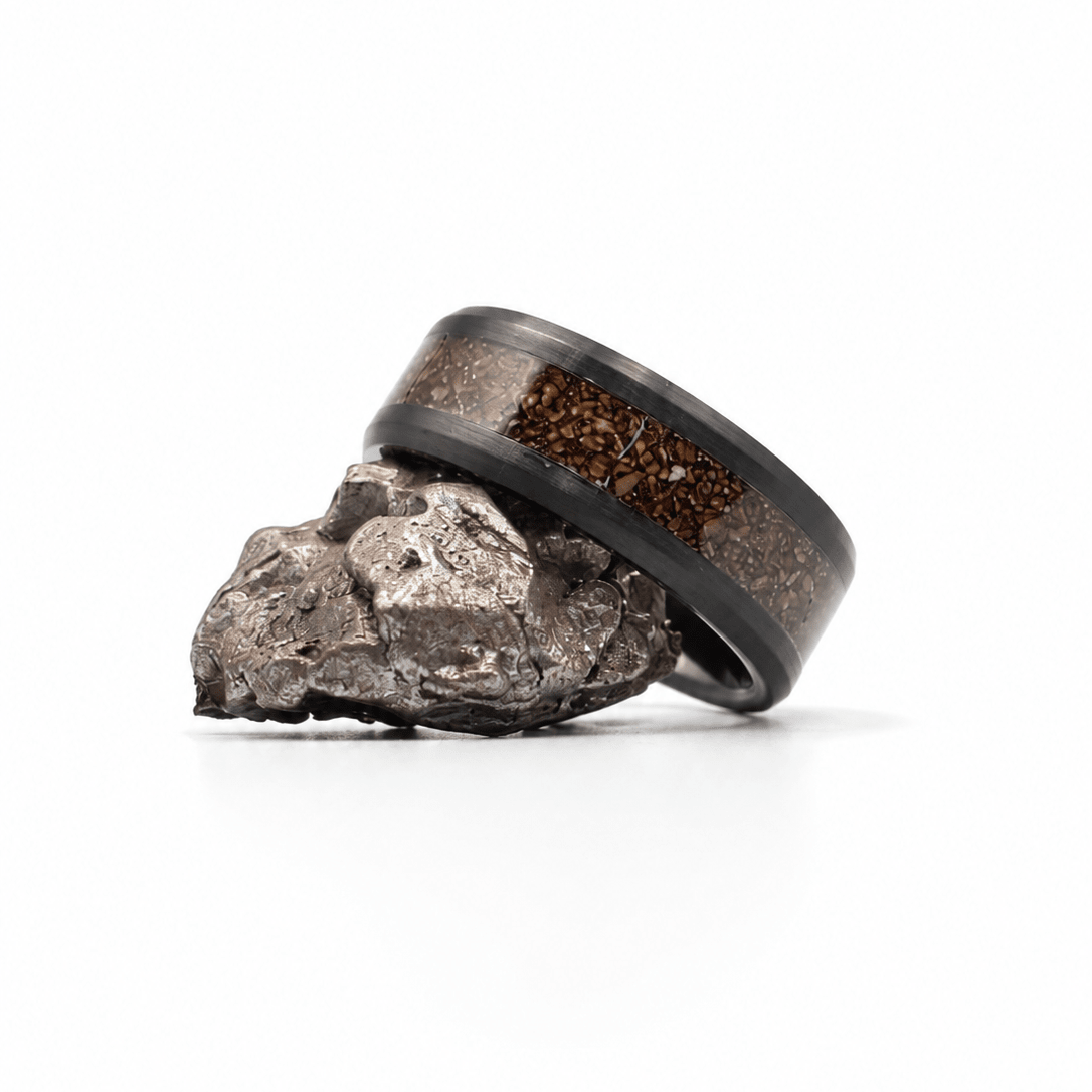 The Shadow Claw - Agatized Dinosaur Bone (Limited Edition)