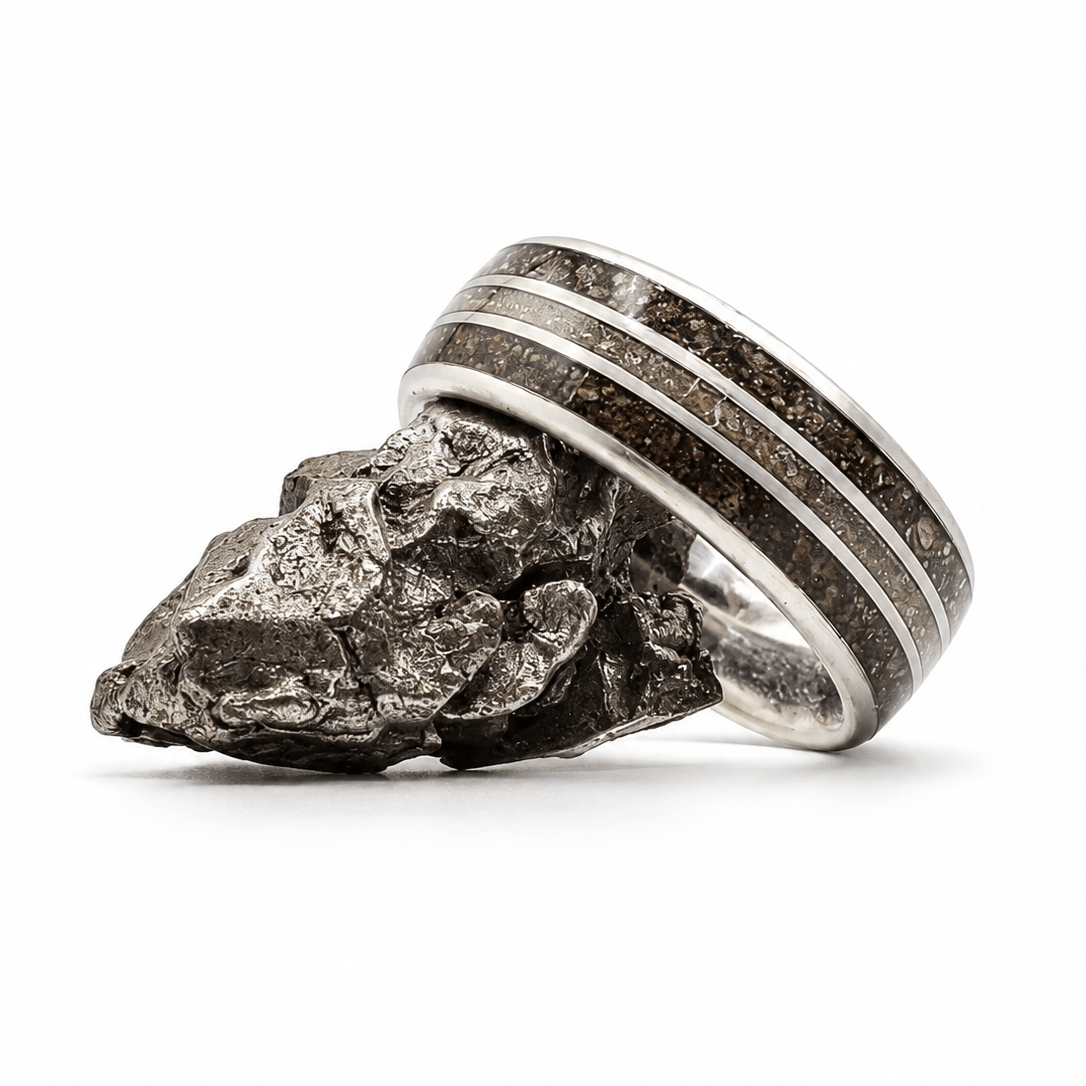 The Spartan - Agatized Dino bone & Meg Tooth