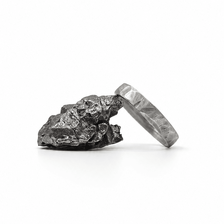 The Viking - Rugged Hammered Titanium