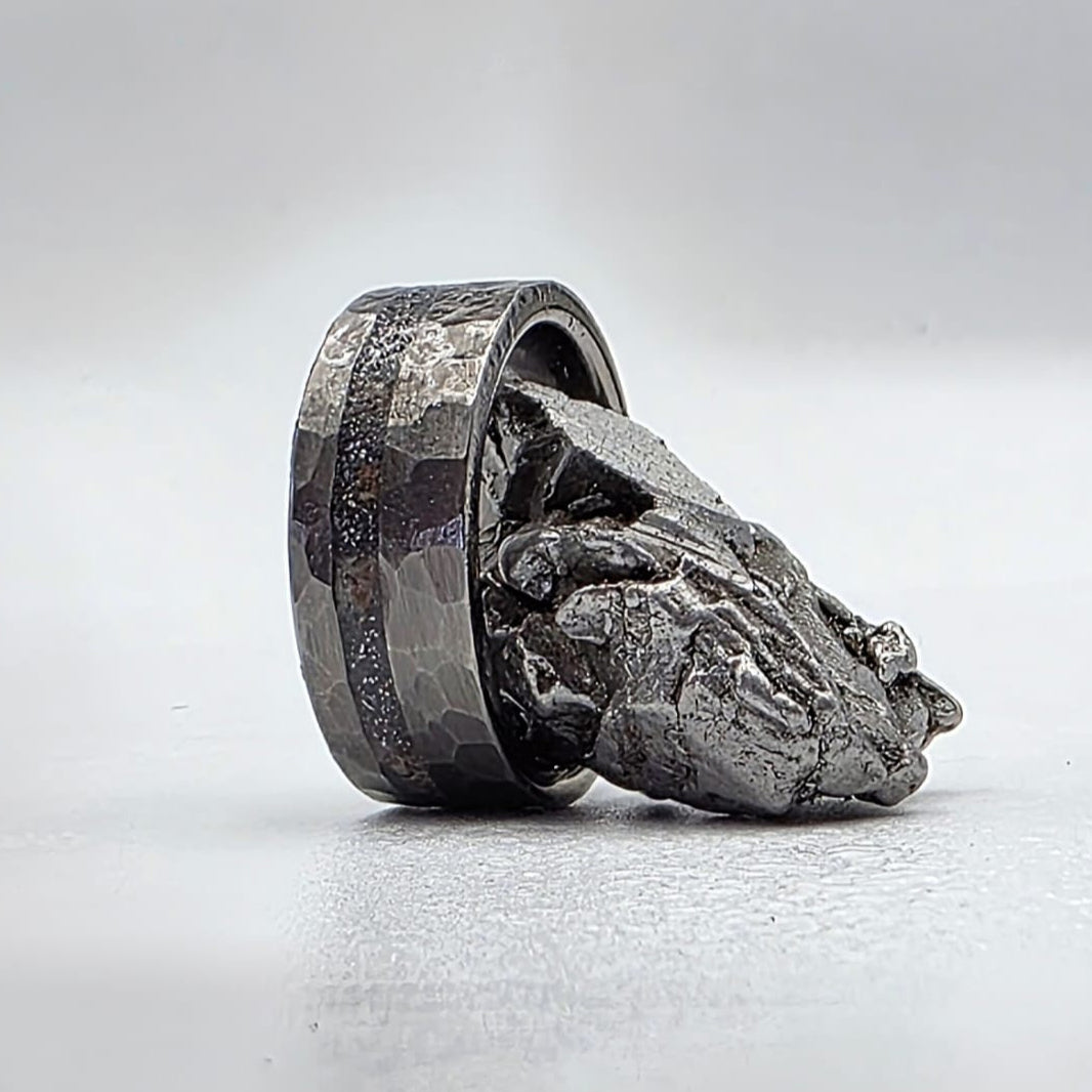 The Big Bang Ring - Meteorite & Chunks Agatized Dino Bone