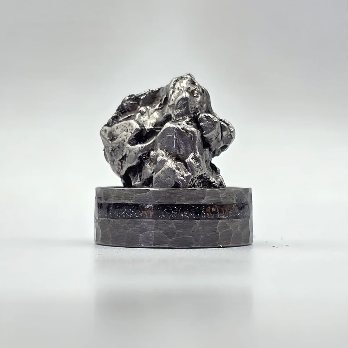 The Big Bang Ring - Meteorite & Chunks Agatized Dino Bone